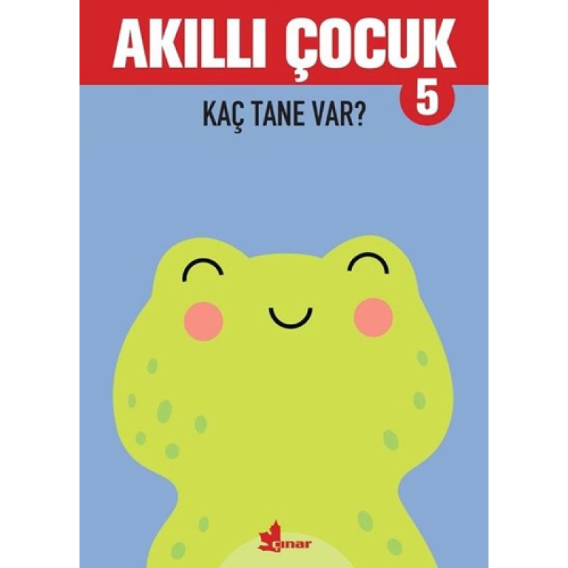 Akıllı Çocuk 5 - Kaç Tane Var?