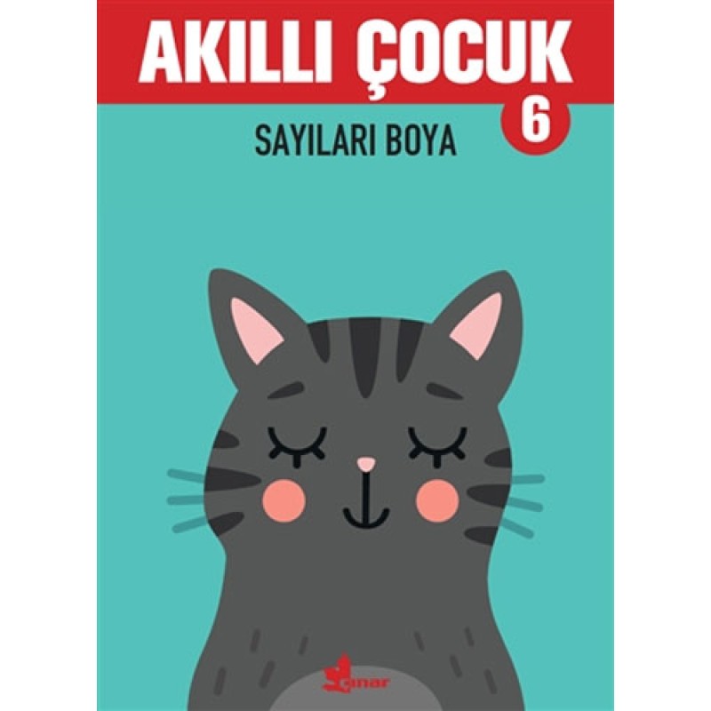 Akıllı Çocuk 6 - Sayıları Boya