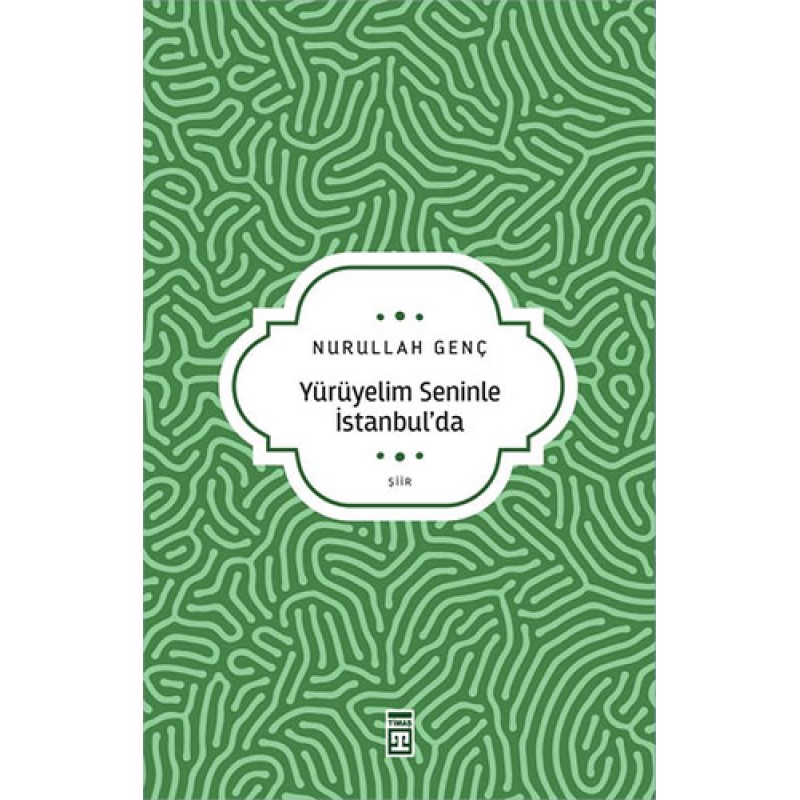 Yürüyelim Seninle İstanbul'da Yürüyelim Seninle İstanbul'da