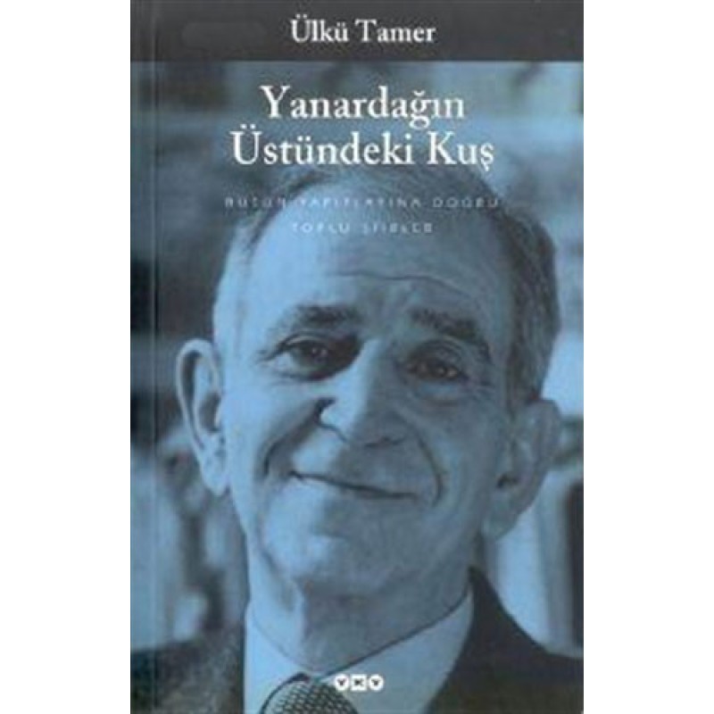 Yanardağın Üstündeki Kuş Yanardağın Üstündeki Kuş