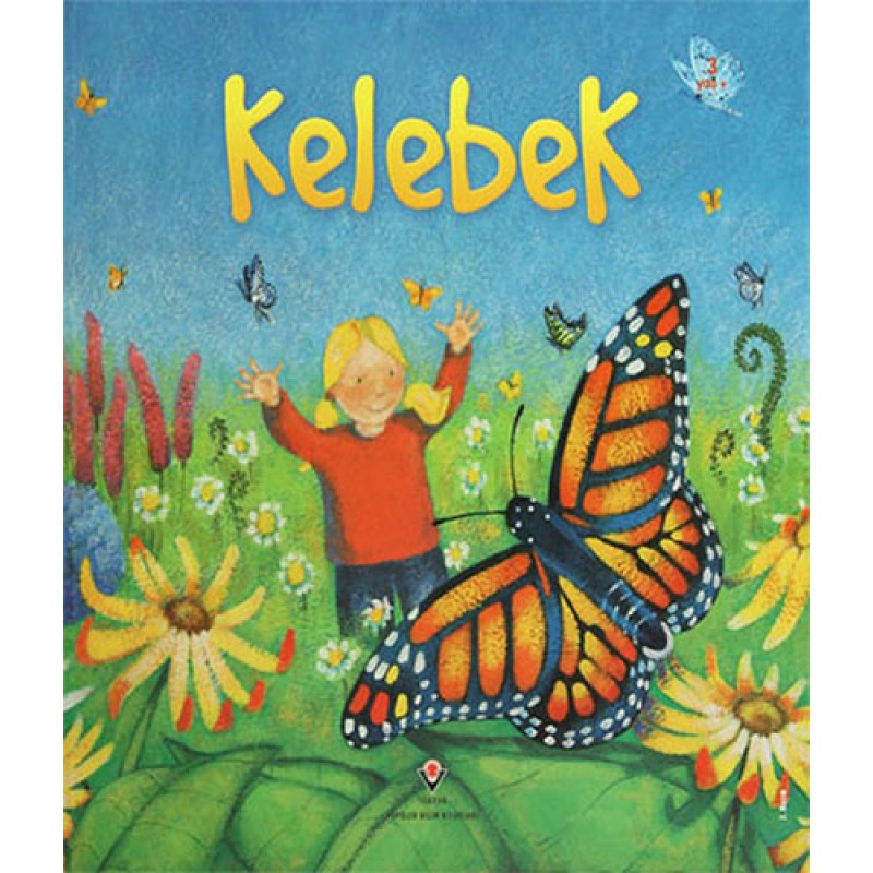 Kelebek Kelebek