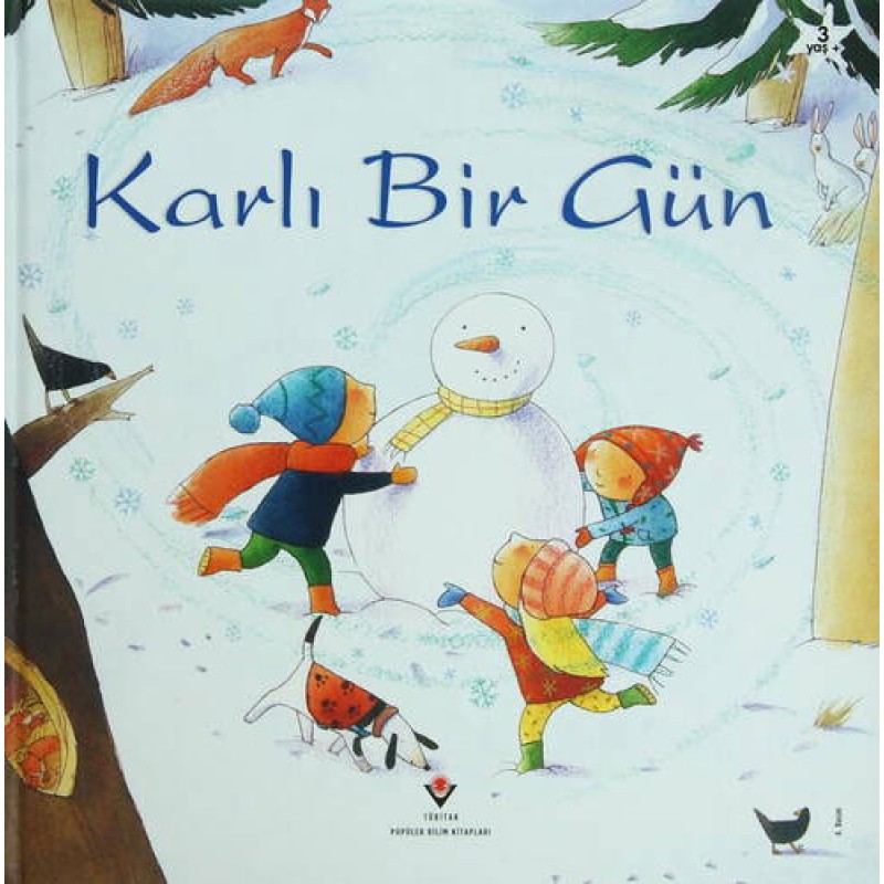 Karlı Bir Gün (Ciltli) Karlı Bir Gün (Ciltli)