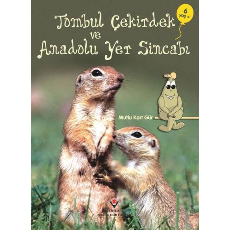 Tombul Çekirdek ve Anadolu Yer Sincabı