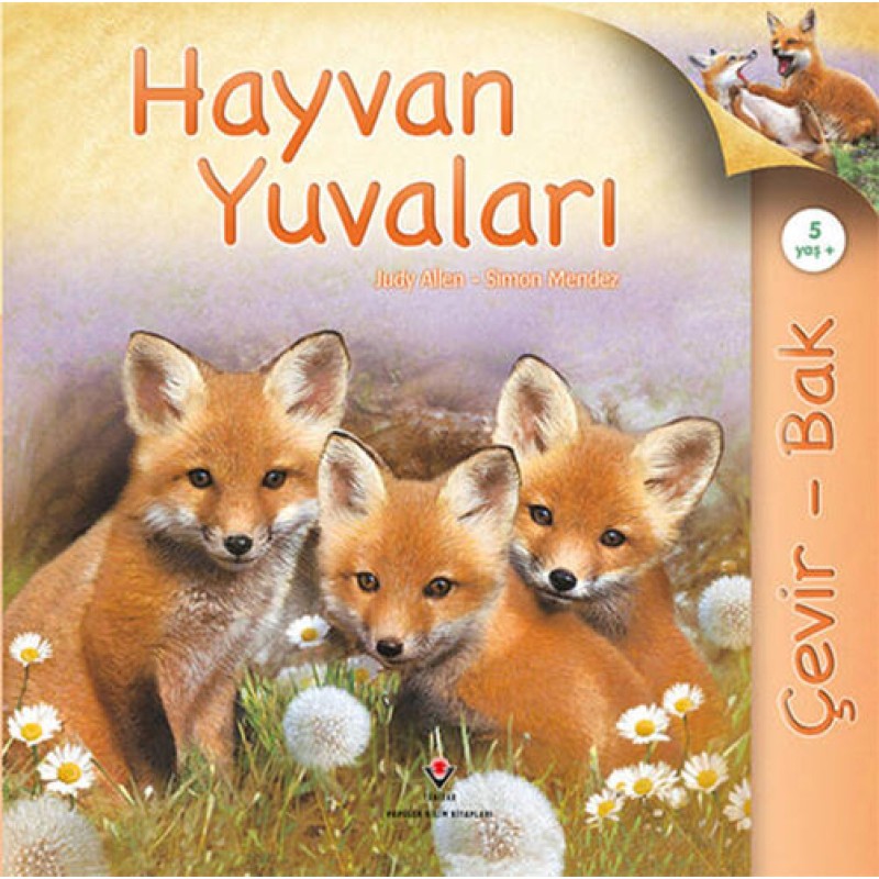 Çevir Bak Hayvan Yuvaları Çevir Bak Hayvan Yuvaları