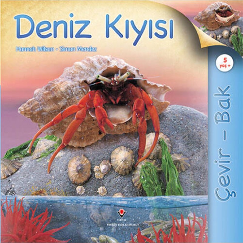 Çevir Bak - Deniz Kıyısı Çevir Bak - Deniz Kıyısı