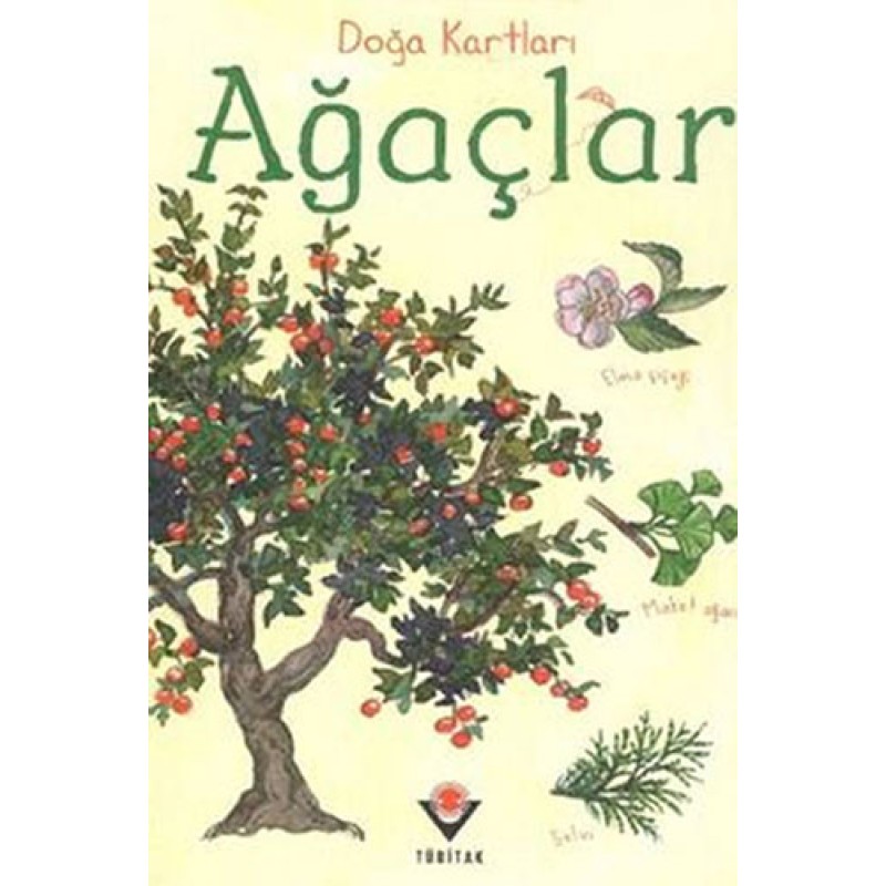 Ağaçlar