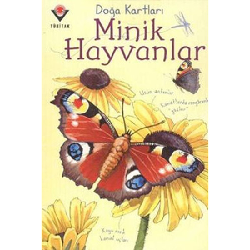 Minik Hayvanlar Minik Hayvanlar