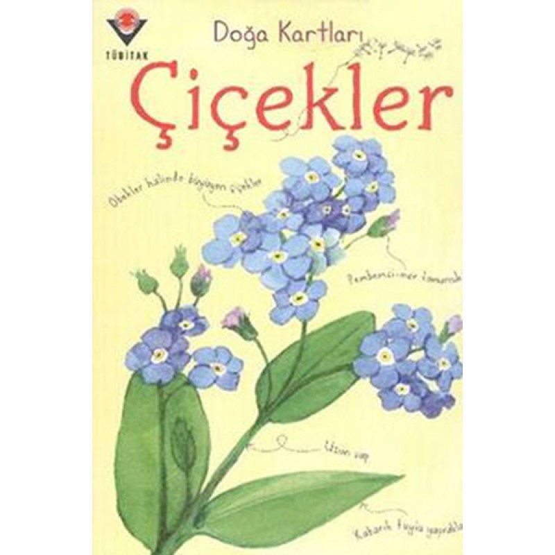 Çiçekler Çiçekler