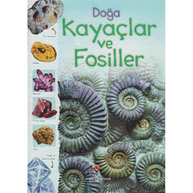 Doğa: Kayaçlar ve Fosiller Doğa: Kayaçlar ve Fosiller