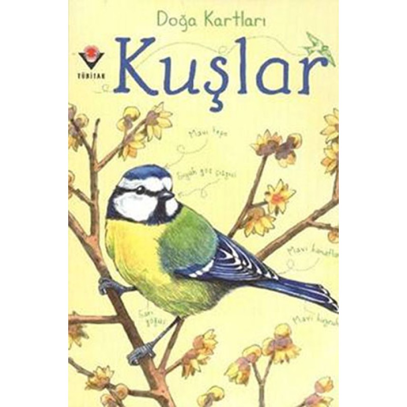 Doğa Kartları - Kuşlar Doğa Kartları - Kuşlar