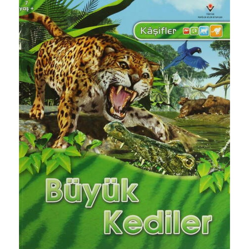 Kaşifler - Büyük Kediler Kaşifler - Büyük Kediler