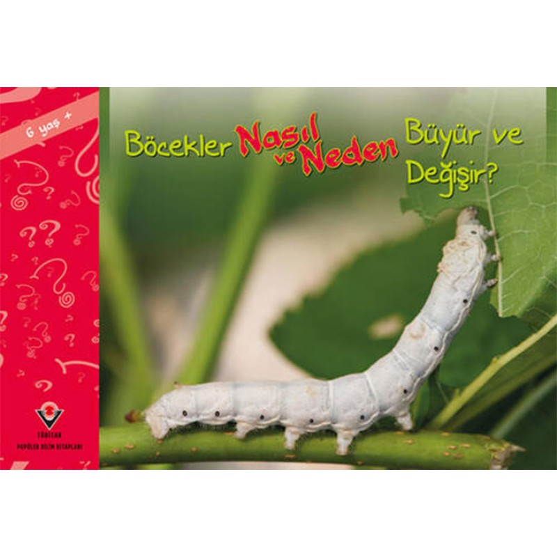 Böcekler Nasıl ve Neden Büyür ve Değişir? Böcekler Nasıl ve Neden Büyür ve Değişir?