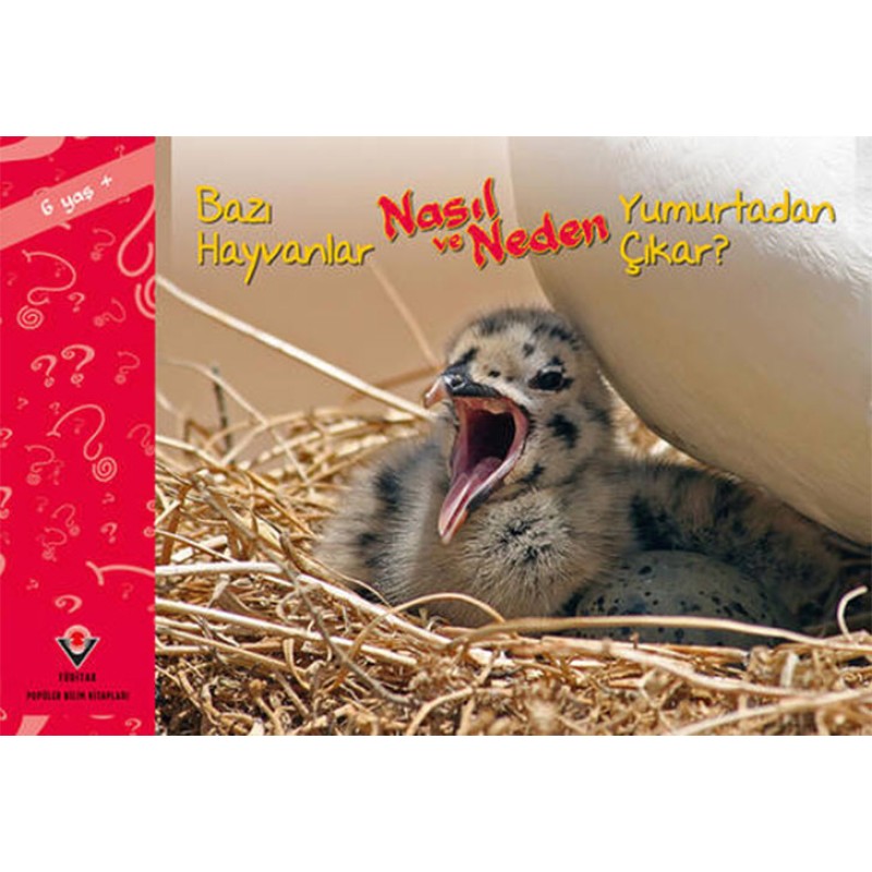 Bazı Hayvanlar Nasıl ve Neden Yumurtadan Çıkar? Bazı Hayvanlar Nasıl ve Neden Yumurtadan Çıkar?
