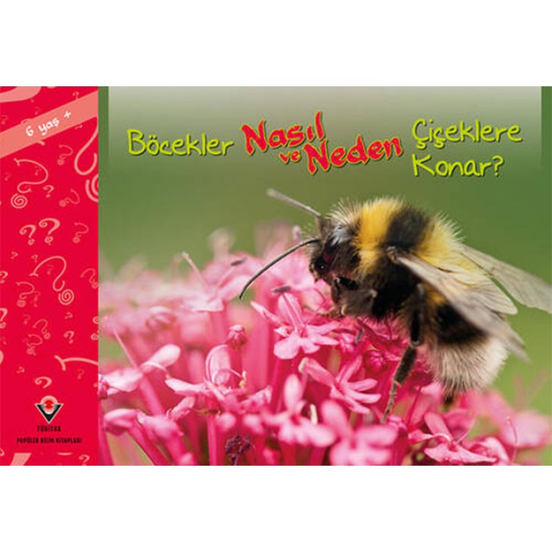 Böcekler Nasıl ve Neden Çiçeklere Konar? Böcekler Nasıl ve Neden Çiçeklere Konar?