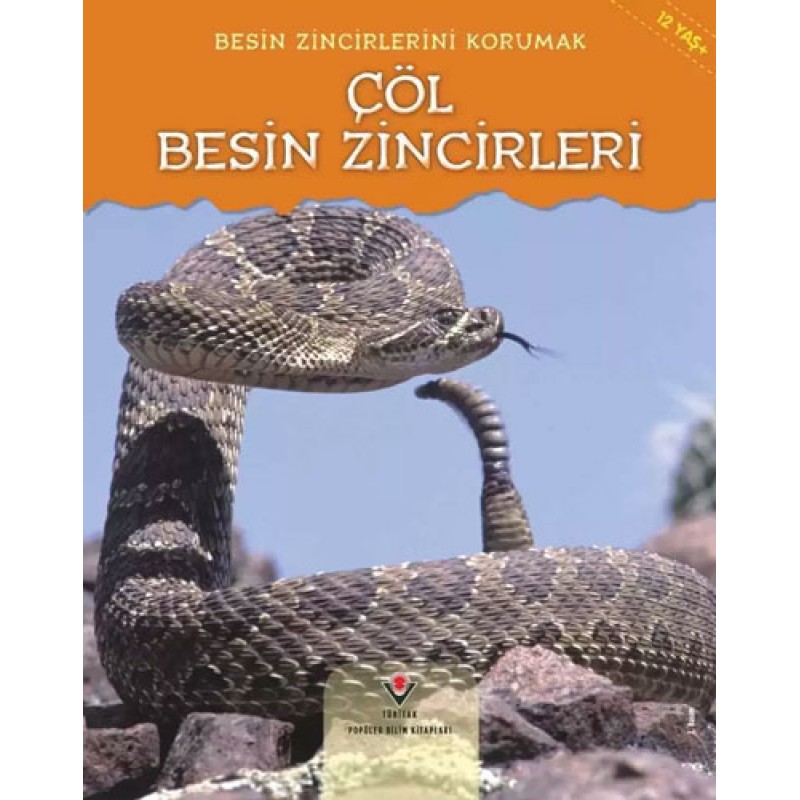 Besin Zincirlerini Korumak - Çöl Besin Zincirleri Besin Zincirlerini Korumak - Çöl Besin Zincirleri