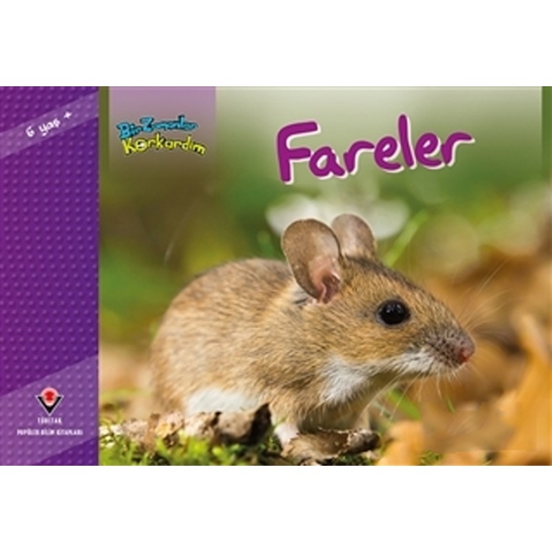 Bir Zamanlar Korkardım - Fareler Bir Zamanlar Korkardım - Fareler