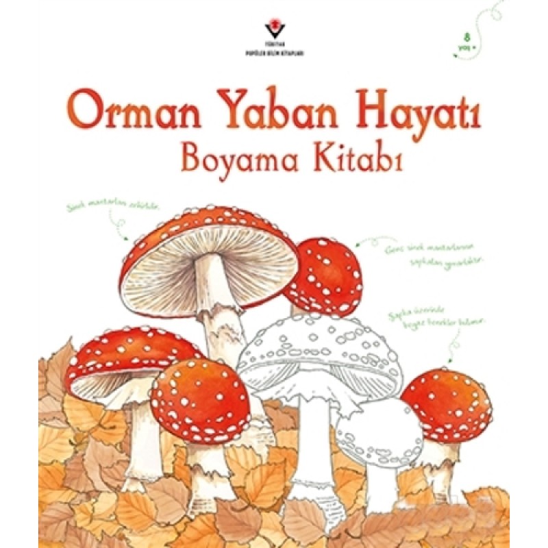 Orman Yaban Hayatı - Boyama Kitabı Orman Yaban Hayatı - Boyama Kitabı