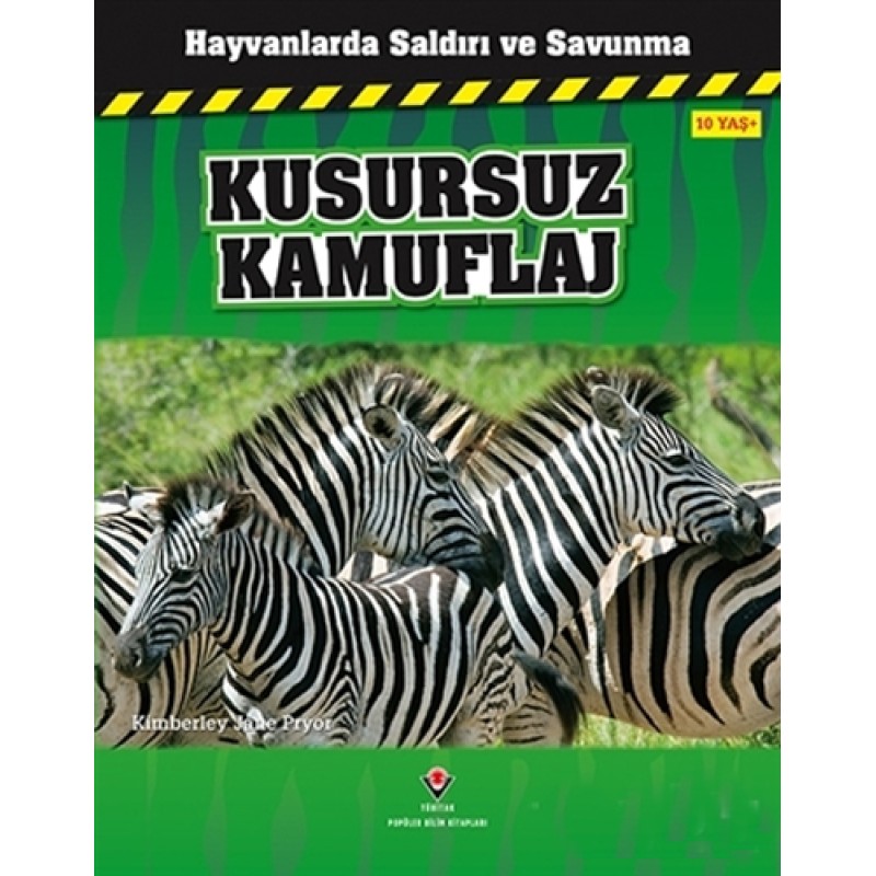 Kusursuz Kamuflaj