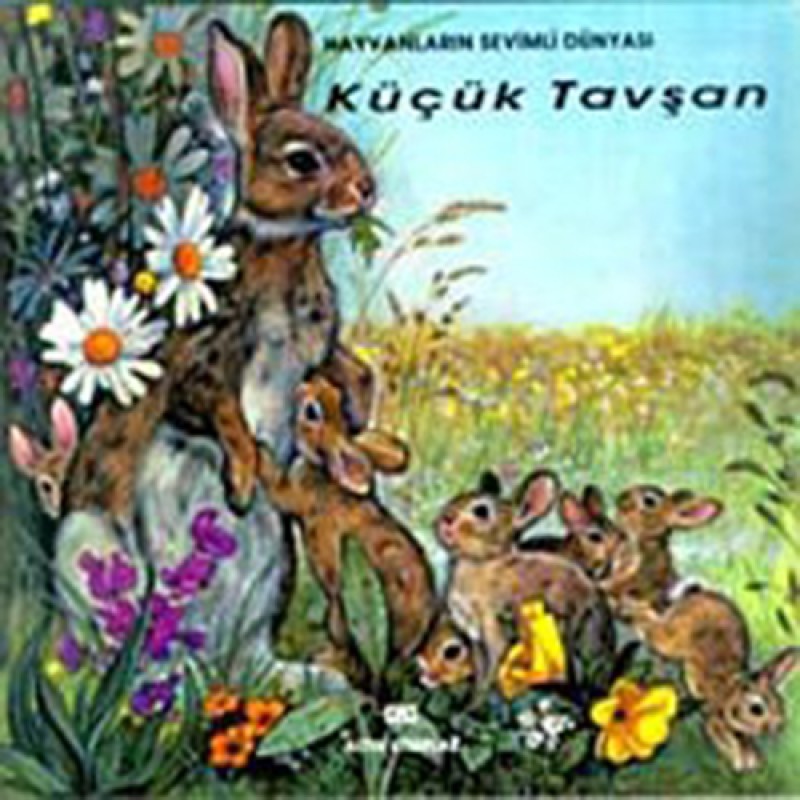 Küçük Tavşan Küçük Tavşan