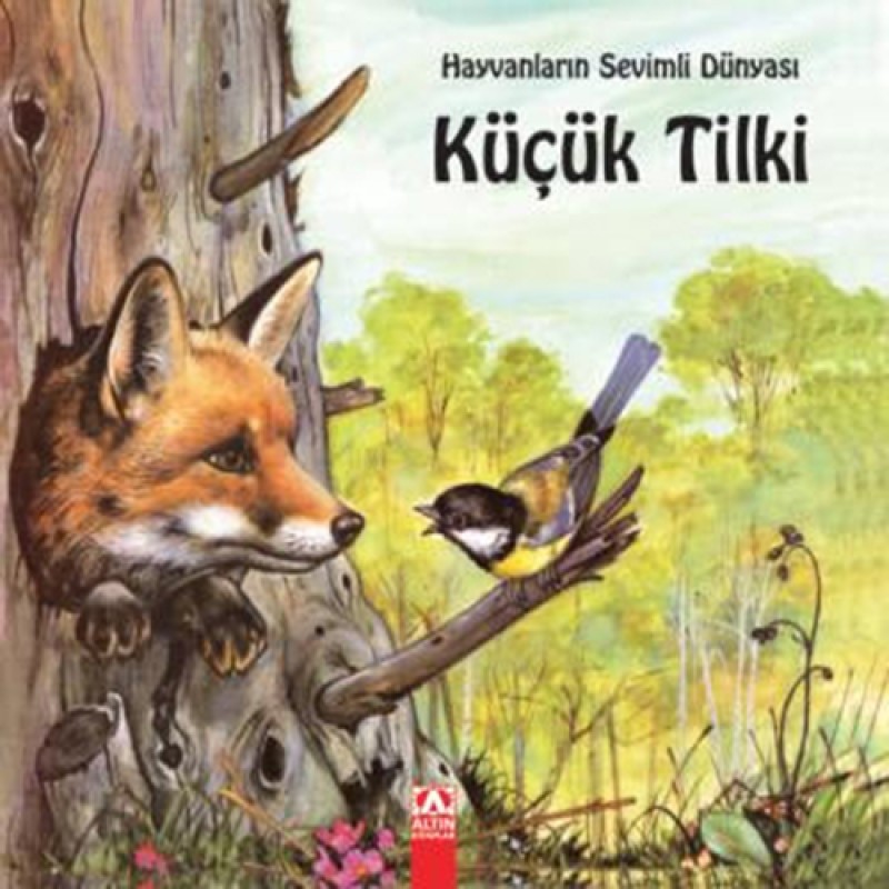 Küçük Tilki Küçük Tilki