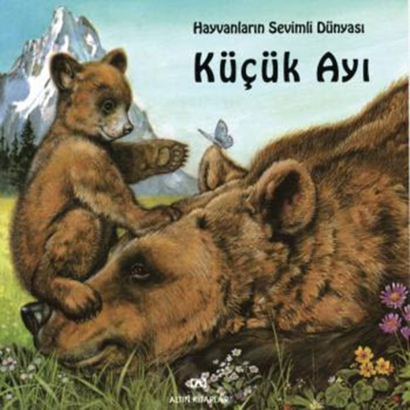 Küçük Ayı