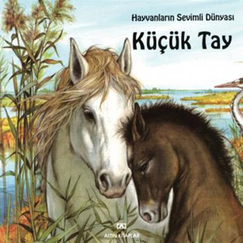 Küçük Tay Küçük Tay