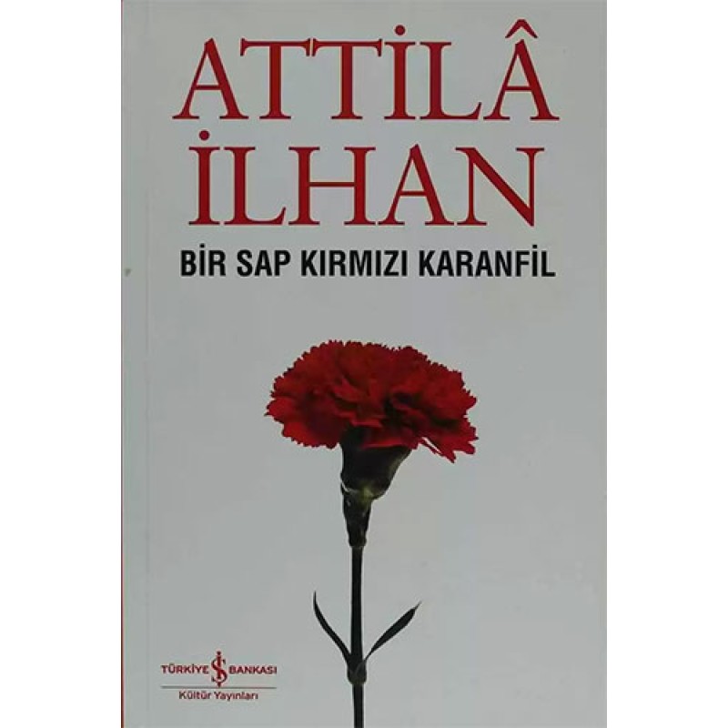Bir Sap Kırmızı Karanfil Bir Sap Kırmızı Karanfil