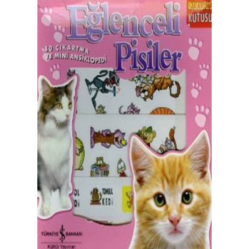 Eğlenceli Pisiler Eğlenceli Pisiler