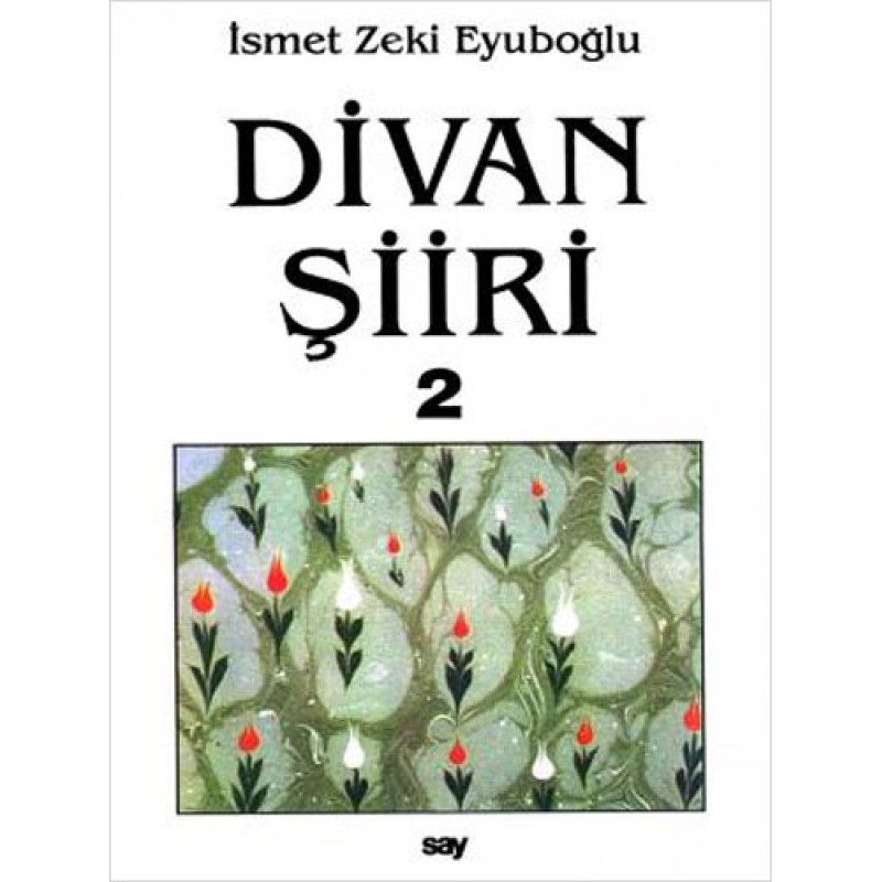 Divan Şiiri - 2 Cilt Takım Divan Şiiri - 2 Cilt Takım
