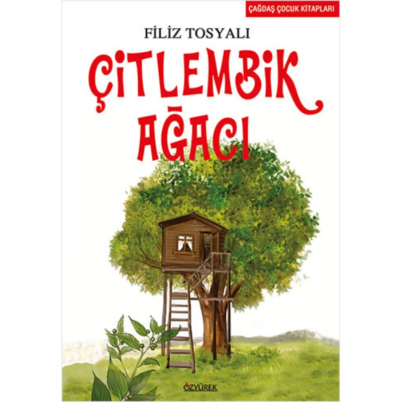 Çitlembik Ağacı Çitlembik Ağacı