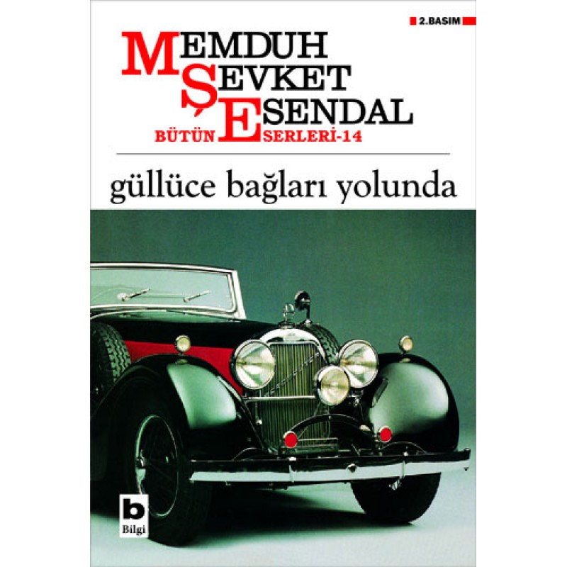 Güllüce Bağları Yolunda Güllüce Bağları Yolunda