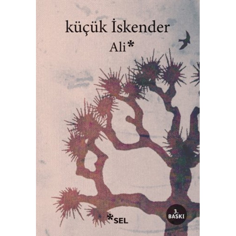 Ali Ali