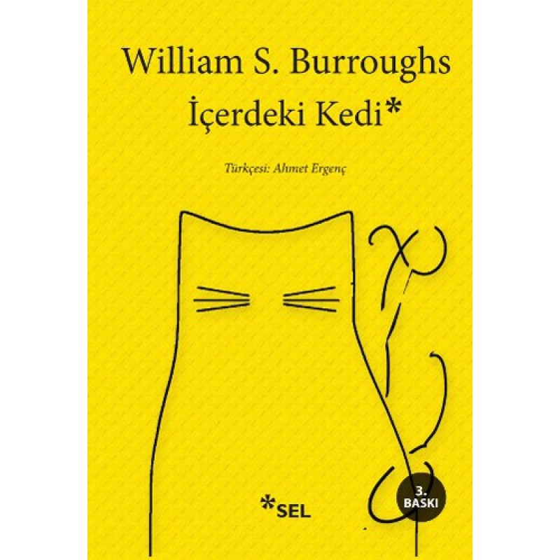 İçerdeki Kedi İçerdeki Kedi