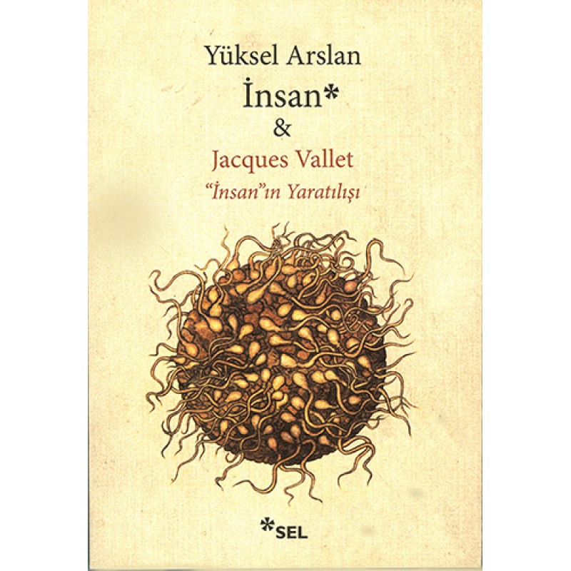 İnsan - İnsanın Yaratılışı