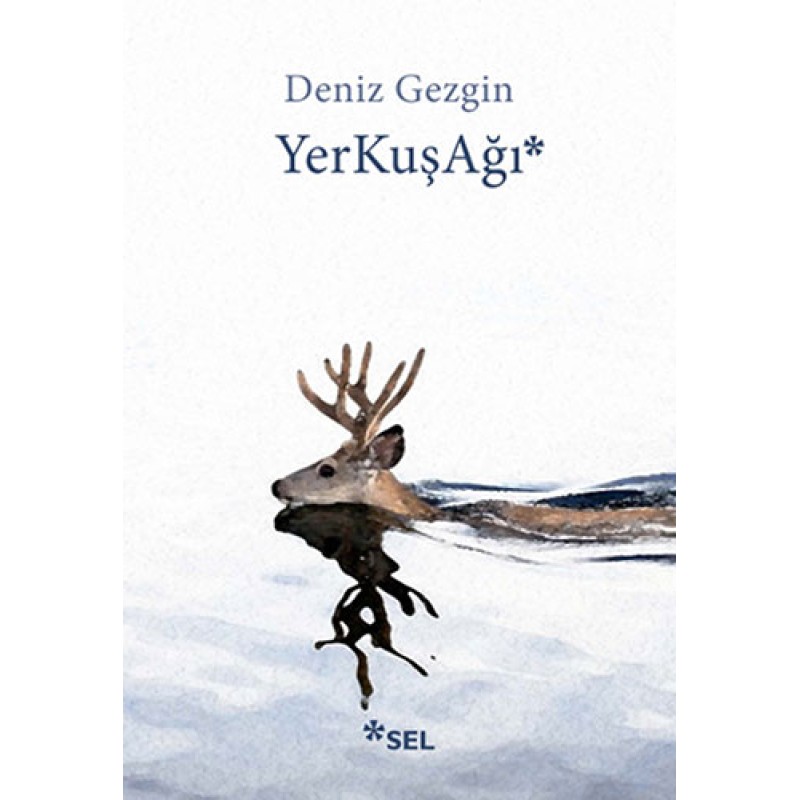 YerKuşAğı