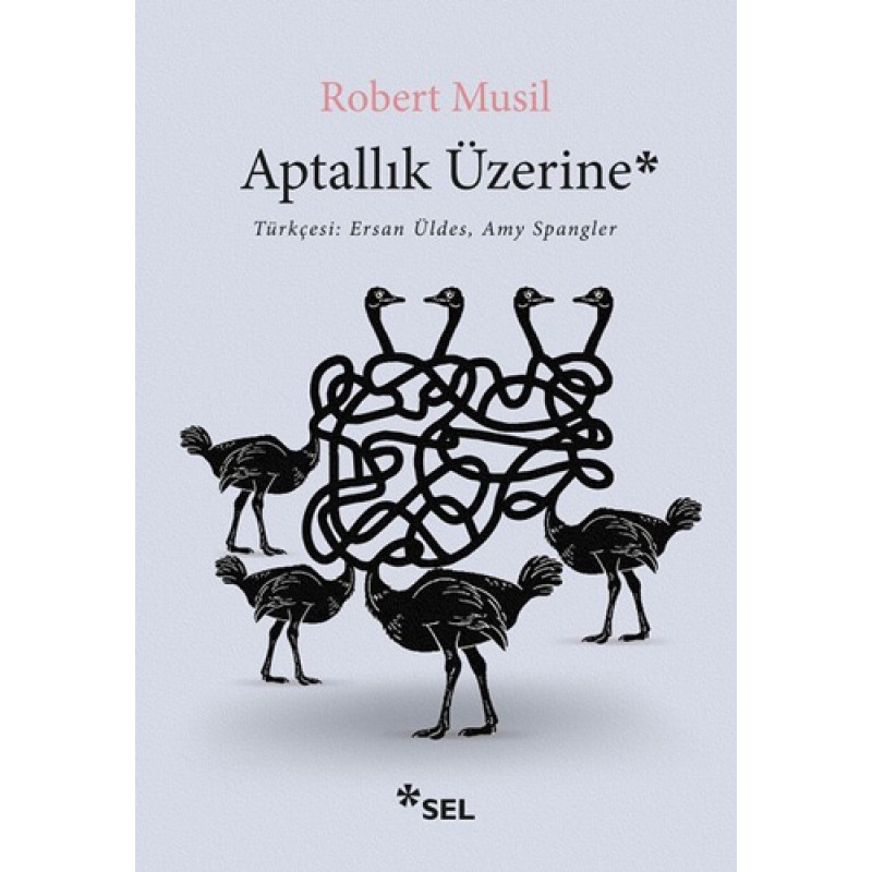 Aptallık Üzerine