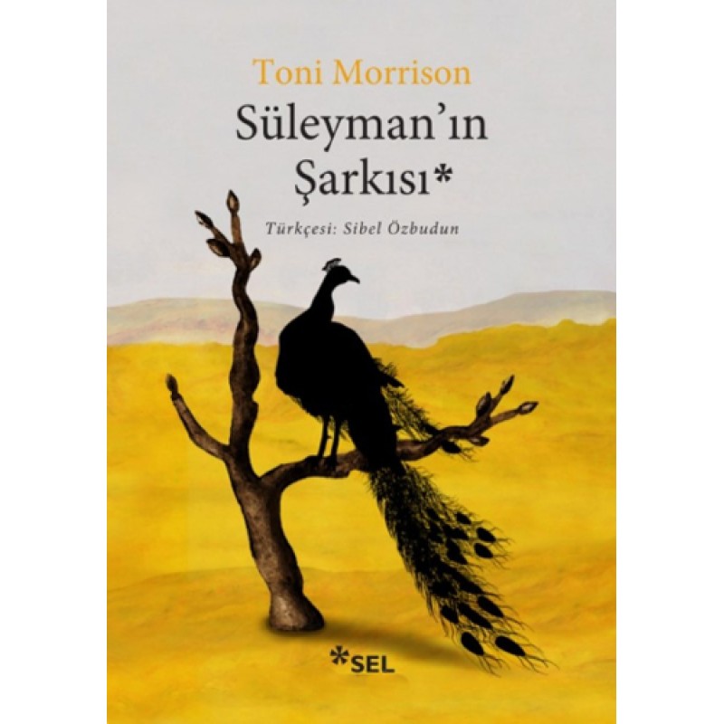 Süleyman’ın Şarkısı