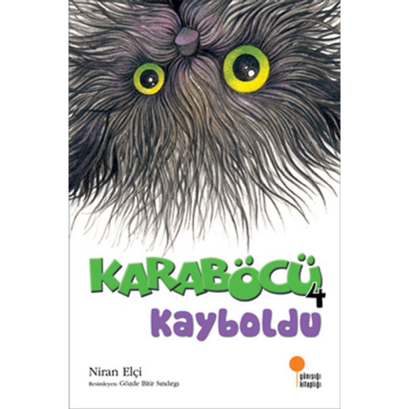 Karaböcü 4 Kayboldu Karaböcü 4 Kayboldu
