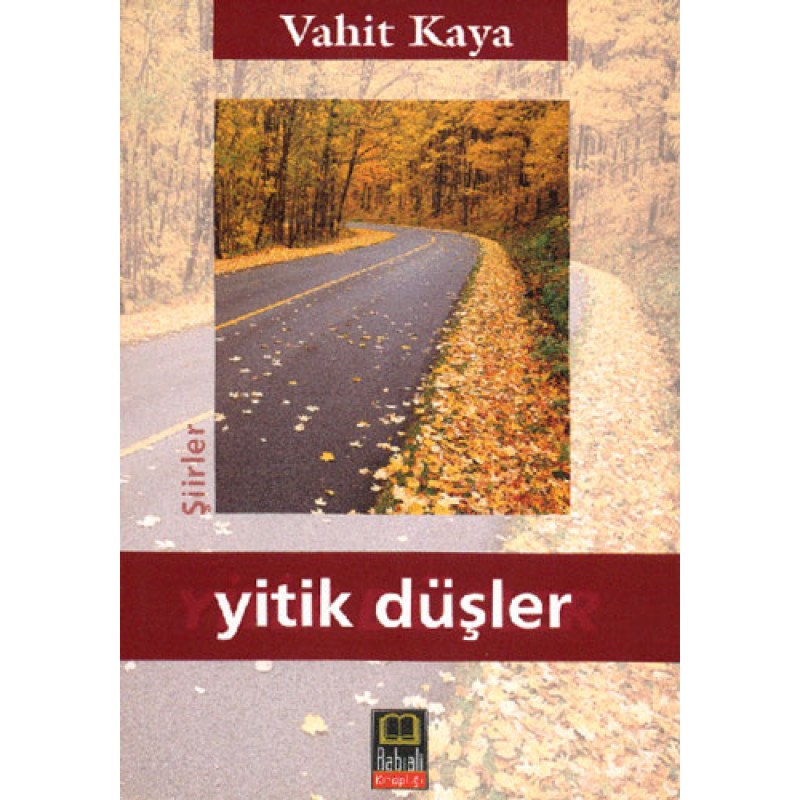 Yitik Düşler