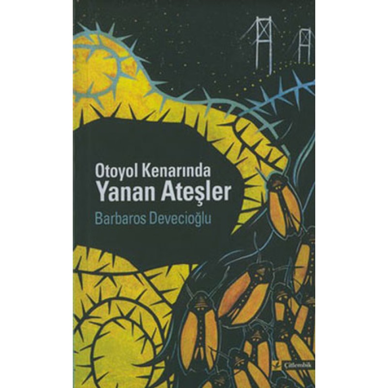 OTOYOL KENARINDA YANAN ATEŞLER OTOYOL KENARINDA YANAN ATEŞLER