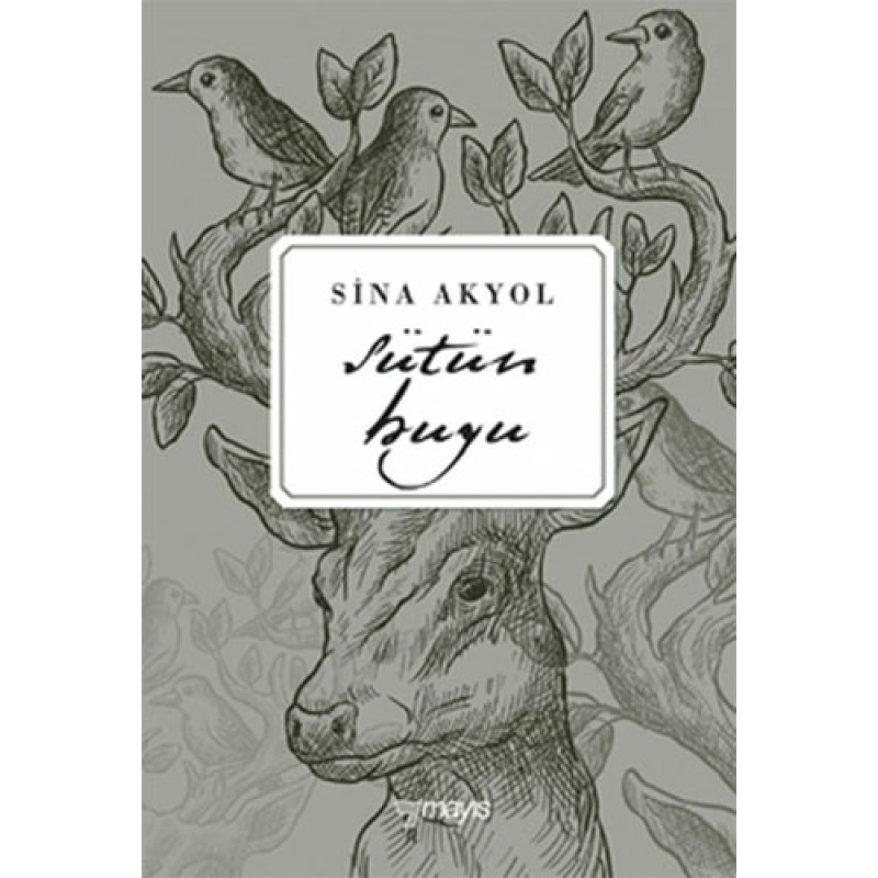 Sütün Huyu Sütün Huyu