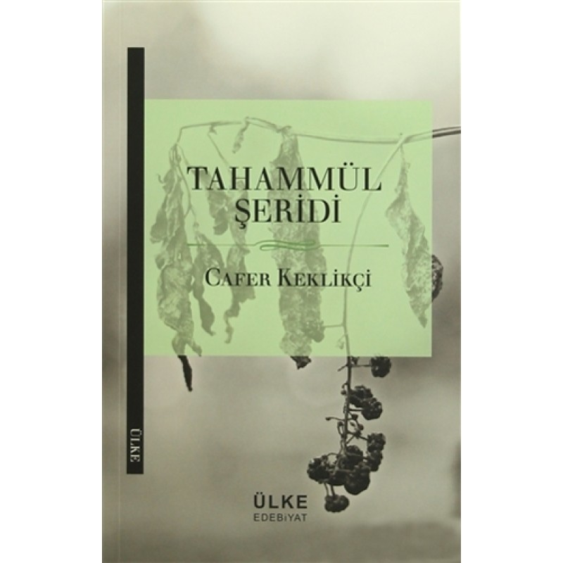 Tahammül Şeridi