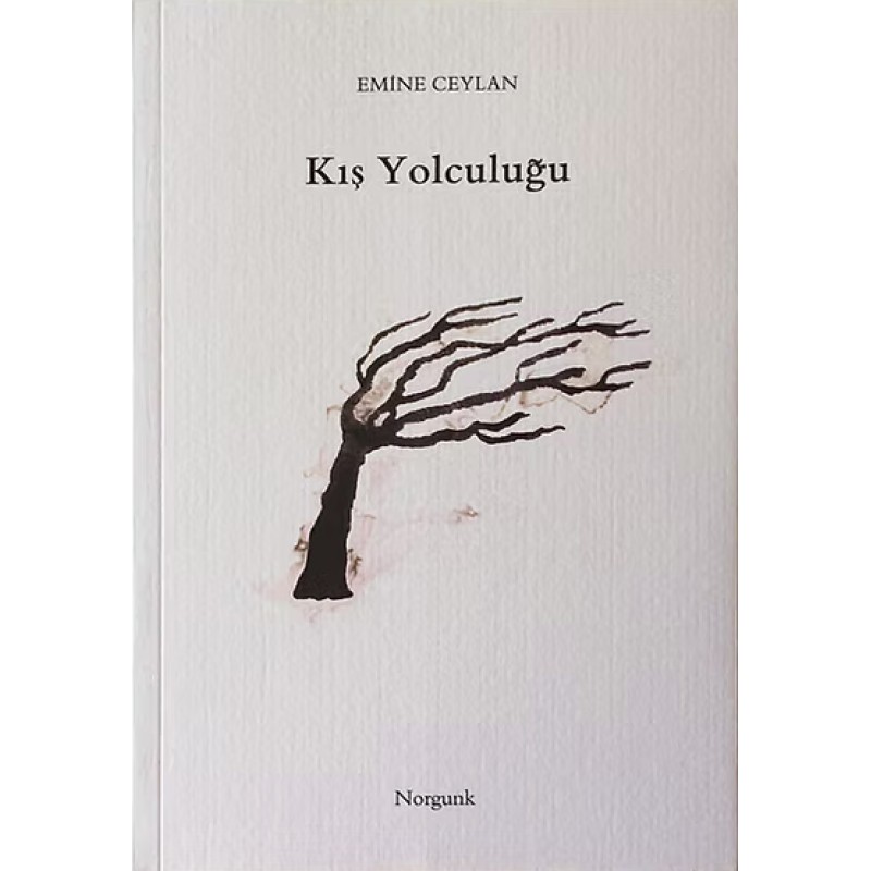 Kış Yolculuğu