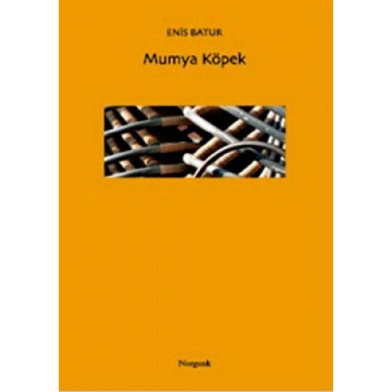 Mumya Köpek Mumya Köpek