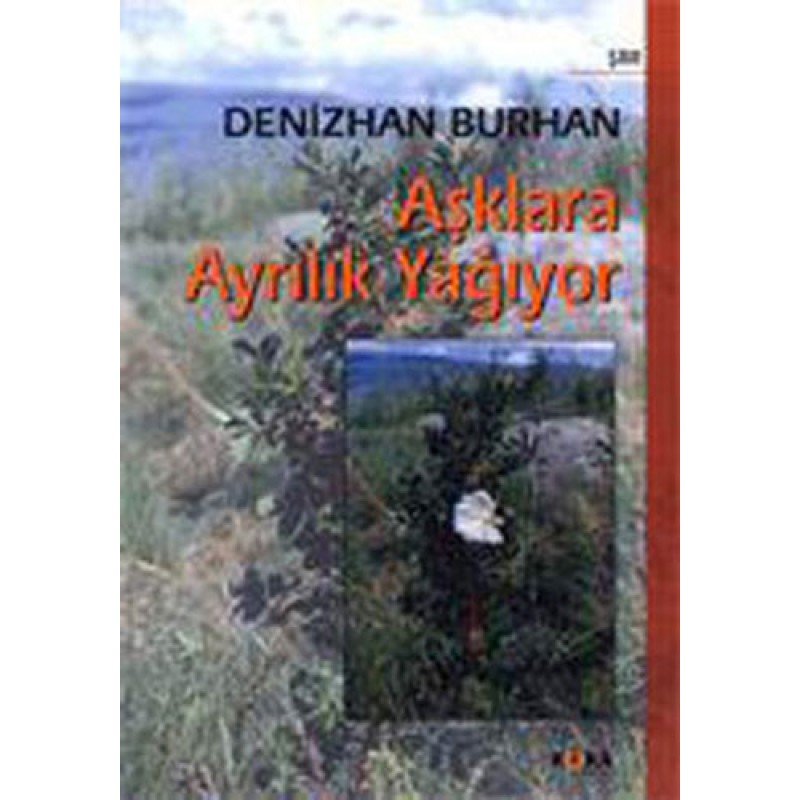 Aşklara Ayrılık Yağıyor Aşklara Ayrılık Yağıyor