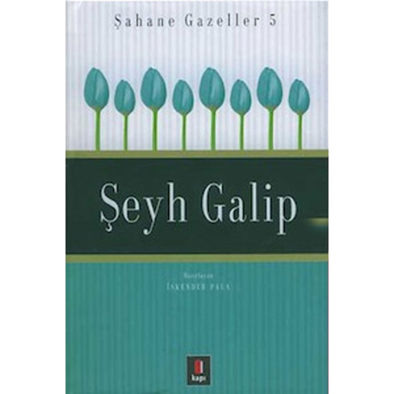 Şeyh Galip - Şahane Gazeller 5