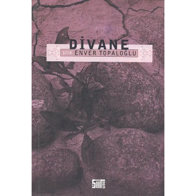 Divane Divane