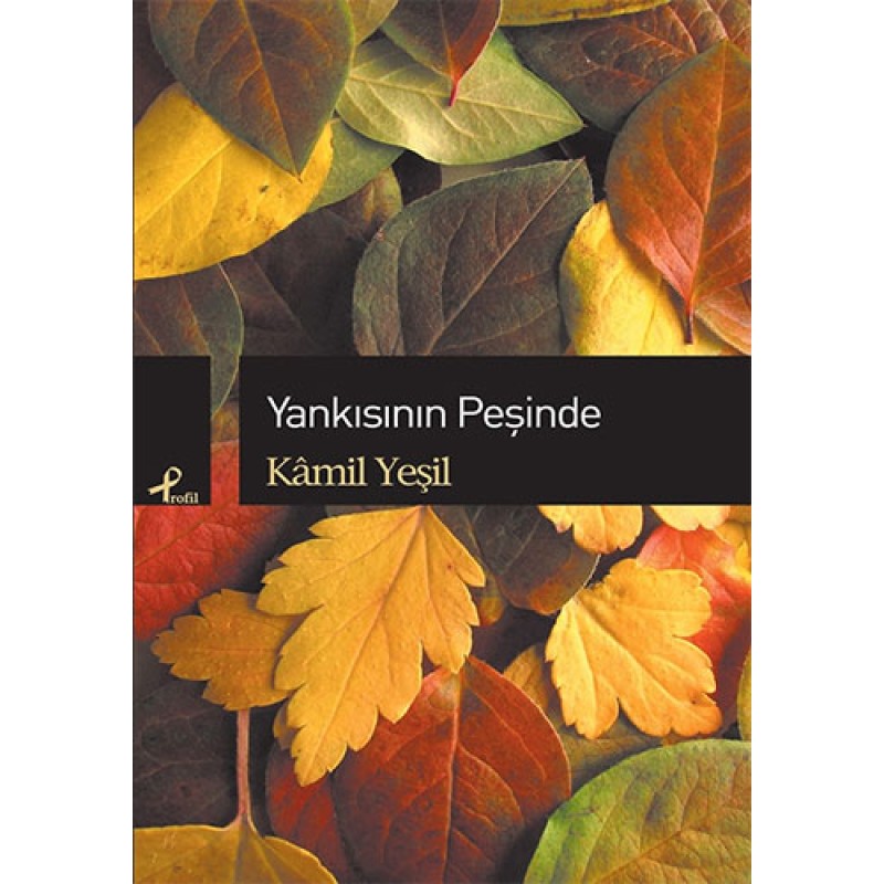Yankısının Peşinde Yankısının Peşinde