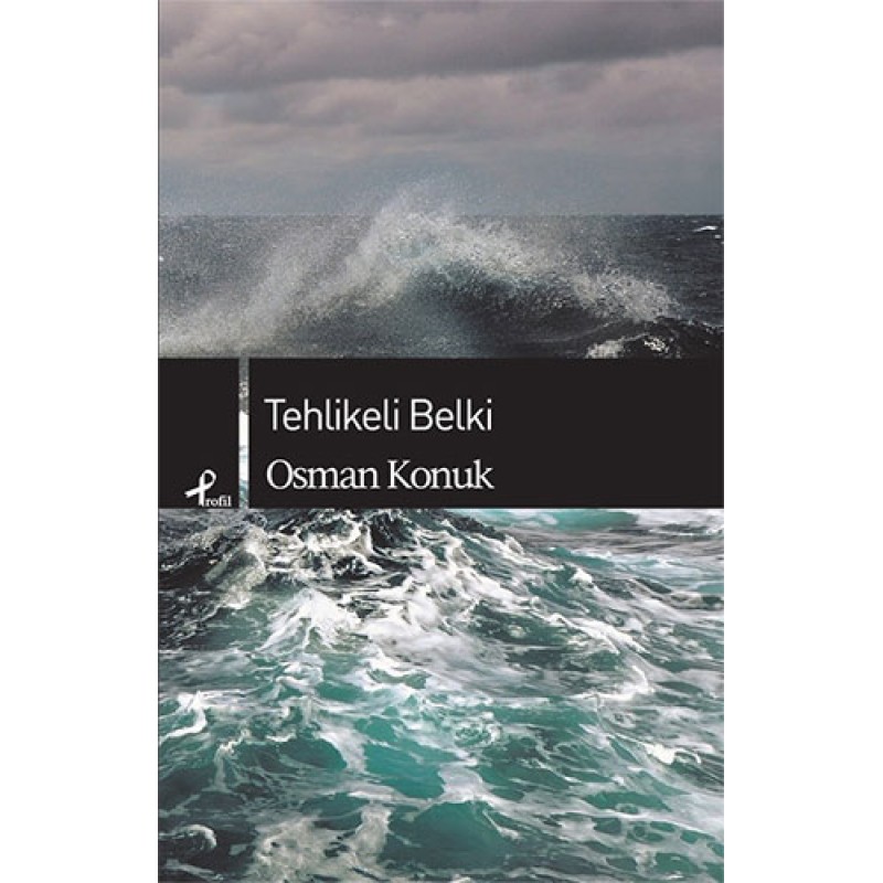 Tehlikeli Belki