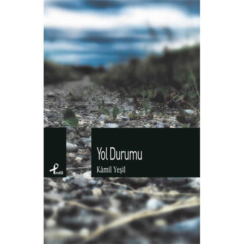 Yol Durumu